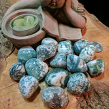 Tumbled Tree Agate~TUMAGTR