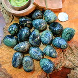 Tumbled Kambaba Jasper~TUMKAJA