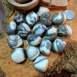 Tumbled Shell Marble~TUMSHMA