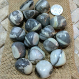 Tumbled Shell Marble~TUMSHMA