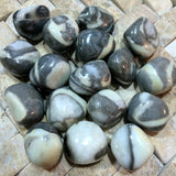 Tumbled Shell Marble~TUMSHMA