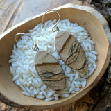 Picture Jasper Earrings~JPJEAR01