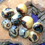 Septarian Nodule Palm Stone~CRSNPMST