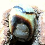 Septarian Nodule Palm Stone~Large~CRSNPML1