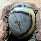 Septarian Nodule Palm Stone~Large~CRSNPML1