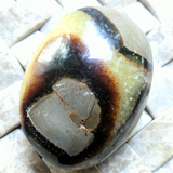 Septarian Nodule Palm Stone~Large~CRSNPML1