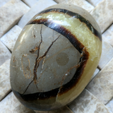Septarian Nodule Palm Stone~Large~CRSNPML1