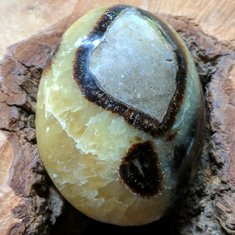 Septarian Nodule Palm Stone~Large~CRSNPML2