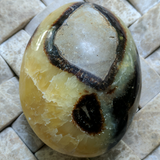 Septarian Nodule Palm Stone~Large~CRSNPML2