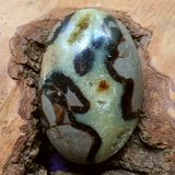 Septarian Nodule Palm Stone~Large~CRSNPML3