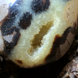 Septarian Nodule Palm Stone~Large~CRSNPML3