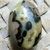 Septarian Nodule Palm Stone~Large~CRSNPML3