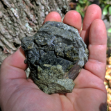 Magnetic Epidote~Pakistan CRMAGEP1