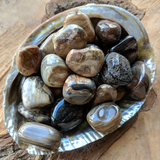 Tumbled Petrified Wood~TUMPETWD