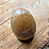 Mariam Jasper Egg~CRMJEGG1