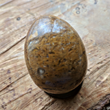 Mariam Jasper Egg~CRMJEGG1