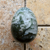Tree Agate Egg~CRTRAEGG