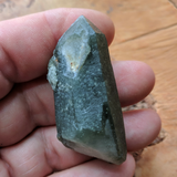 Actinolite In Quartz Crystal~CRACTQ16