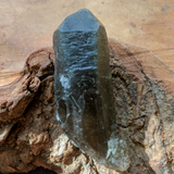 Actinolite In Quartz Crystal~CRACTQ18