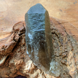 Actinolite In Quartz Crystal~CRACTQ18