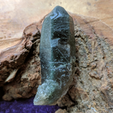 Actinolite In Quartz Crystal~CRACTQ18