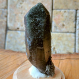 Actinolite In Quartz Crystal~CRACTQ18