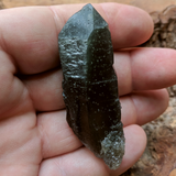 Actinolite In Quartz Crystal~CRACTQ18