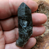Actinolite In Quartz Crystal~CRACTQ18