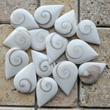 Shell Spiral Cabochon~JCABSHLL