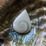 Shell Spiral Cabochon~JCABSHLL