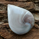 Shell Spiral Cabochon~JCABSHLL