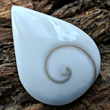 Shell Spiral Cabochon~JCABSHLL