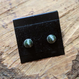 Chrysotile in Serpentine Post Earrings~JCHSPER1