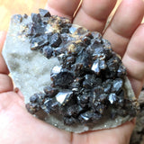 Sphalerite and Quartz- CRSPHAL02