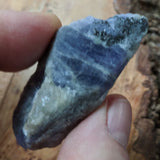 Tanzanite Rough~Tanzania CRTANZ04