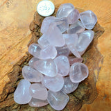 Rose Metamorposis Quartz Tumbled~ TUMRSMMQ