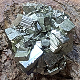 Pyrite Crystal Cluster~CRPYCC03