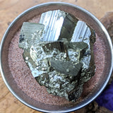 Pyrite Crystal Cluster~CRPYCC07