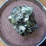 Pyrite Crystal Cluster~CRPYCC04