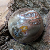 Petrified Wood Sphere~ CRPWSP01