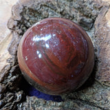 Petrified Wood Sphere~ CRPWSP02