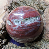 Petrified Wood Sphere~ CRPWSP02