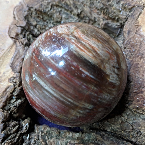 Petrified Wood Sphere~ CRPWSP03