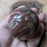 Petrified Wood Sphere~ CRPWSP03