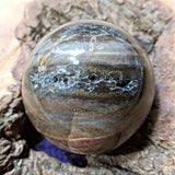 Petrified Wood Sphere~ CRPWSP05