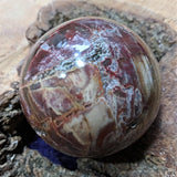Petrified Wood Sphere~ CRPWSP06