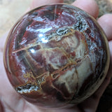 Petrified Wood Sphere~ CRPWSP06