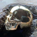 Golden Crystal Skull~CRGCSKLL