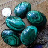 Malachite Palm Stones- CRMALPLM