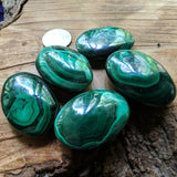 Malachite Palm Stones- CRMALPLM